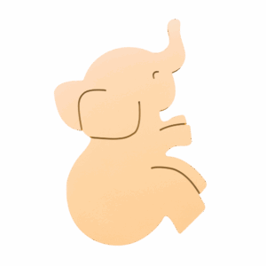 Cute Elephant